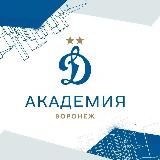 Воронеж – Академия «Динамо» им. Л.И. Яшина