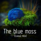 Синий мох ( the blue moss )