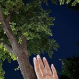 В мыслях.🤍