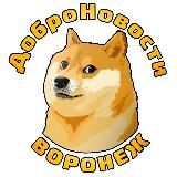 ДоброНовости Воронеж