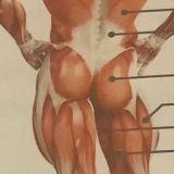 гадание на таро