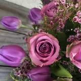 ꧁༺ 𝐕𝐈𝐃𝐄𝐎 / 𝐄𝐒𝐓𝐄𝐓𝐈𝐊𝐀 ༻꧂