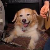 Пикчи для добра☀️