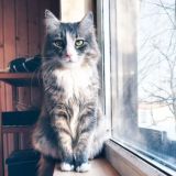 Болталка с Ульяной