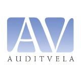 Аудит-Вела | Всё об учёте и налогах