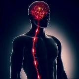 ʙɪɴᴀɴᴄᴇ ꜰᴜᴛᴜʀᴇs. sɪɢɴᴀʟs