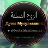 Душа Мусульман ☪️
