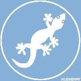 LizardApk