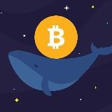 Crypto Whale 🐋