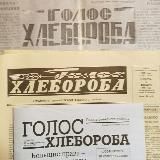 Баевский Голос