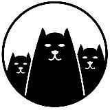 🇷🇺 Котласские КОТы Z