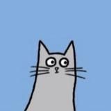 Кот Вулкан и дальнобой (комиксы)