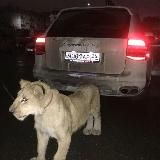 𝖅𝕭𝕰𝕽𝖇シ︎