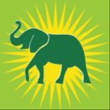 ЗЕЛЁНЫЙ СЛОН / NEWS