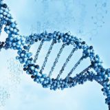 Елена Меньшенина Chat