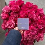 𝓜𝔂 𝓵𝓲𝓯𝓮💙