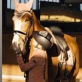 liza_dressage