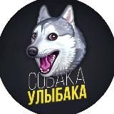 Собака - улыбака 🐾