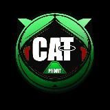 Они снова печатают