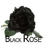 66 Lottery Crypto ✨🎖