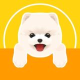 Померанские Шпицы • Медвежьего типа • Щенки