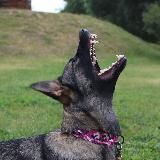 𝙇𝙞𝙠𝙖’𝙨 𝙇𝙖𝙞𝙧