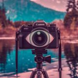 Photos of everything