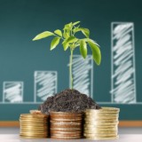 📈 Советы инвестору