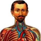 Казус Кукоцкого