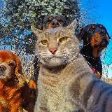 Делай добро🙏🏼