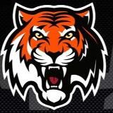 TigerBet | Ставки на киберспорт