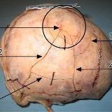 Будни врача| Медицина