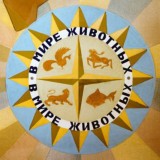 В мире животных