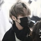 блог скандалистки