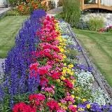 Дачные Советы