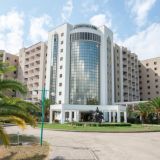 🔥Новости санатория «Самшитовая роща»