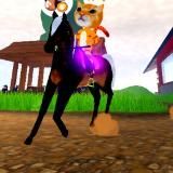 Коноблог Сяу (запасной)