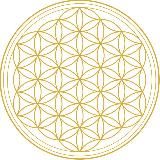 Viktor G | Спорт и йога