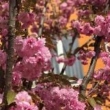 Деканат НН ВПІ