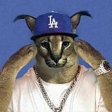 База фонов💎