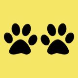 Правила дома кошек