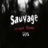 САМОРЕГИ БА | SAUVAGE GROUPE