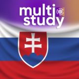 Ищу ответ | Словакия