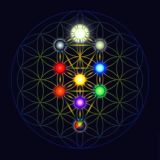 🔯ОРДЕН_INITAXA_school