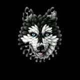 𝕯𝖗 𝕿𝖊𝖈𝖍 𝕱𝖗™ 𝕲𝕽𝕺𝖀𝕻