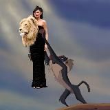 Fashion солянка