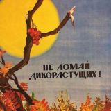 Kill the Witch