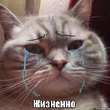 Жизненные пикчи