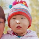 твиттер нори