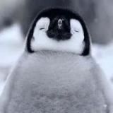 Yuki Show | РЕСТ ДО ИЮЛЯ